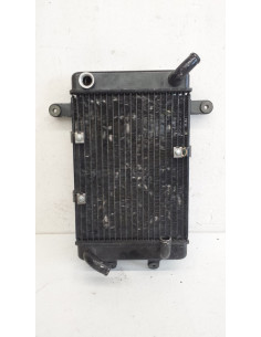 Radiateur Suzuki Burgman 250 400