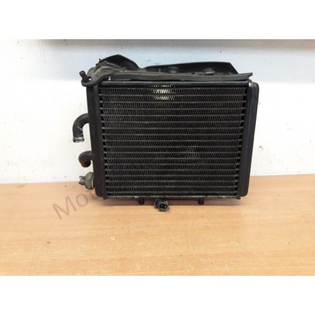 Radiateur complet Aprilia Leonardo