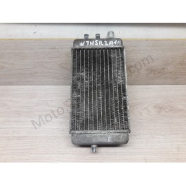 Radiateur Derbi Sm