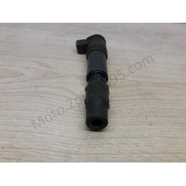Bobine crayon Honda 129700-3881