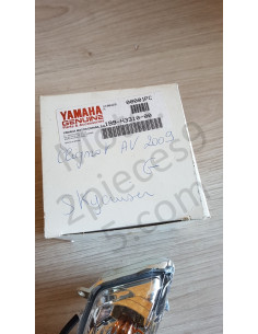 Clignotant avant gauche