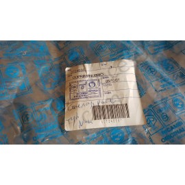 Entourage guidon Piaggio Typhoon