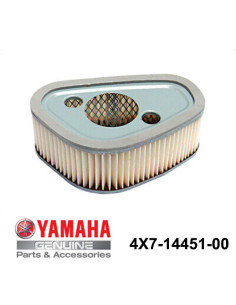 Filtre à Air Yamaha Virago 750 920