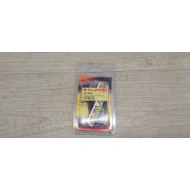 Ressort d'embrayage Malossi Yamaha 500 530 Tmax - 2913327