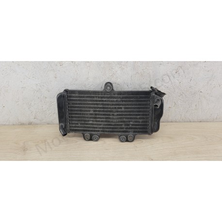 Radiateur Yamaha 125 TDR de 1993 à 2003 Radiateur Yamaha 125 TDR de 1993 à 2003
