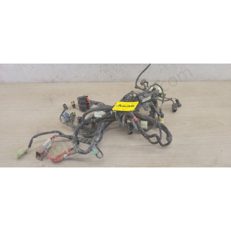 Faisceau électrique Vespa Primavera 50 IE Faisceau électrique Vespa Primavera 50 IE