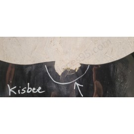 Sabot Peugeot Kisbee