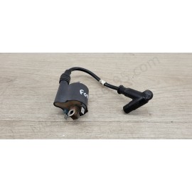 Bobine d'allumage Honda Forza 125