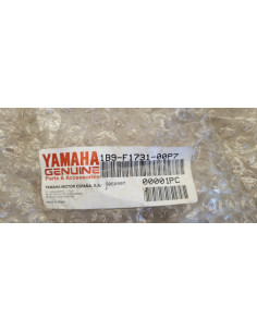Aile droite Yamaha Xmax 125 250 Grise