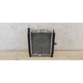 Radiateur Peugeot Satelis 125