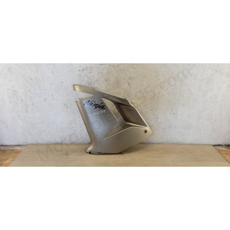 Flanc de carénage gauche Kawasaki ZX 10 R Gris Flanc de carénage gauche Kawasaki ZX 10 R Gris
