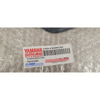 Bulle Yamaha Xmax 125 250 400
