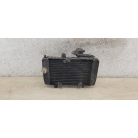 Radiateur Yamaha MBK Teo's Doodo 125