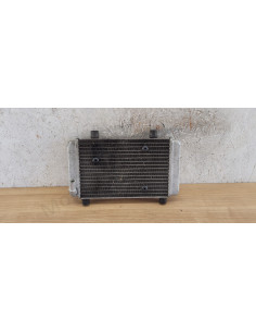 Radiateur Yamaha Xmax 125 250 400