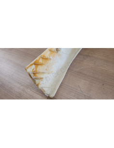 Face avant Eccho Eagle Wing 50 4T