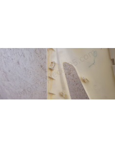 Face avant Eccho Eagle Wing 50 4T
