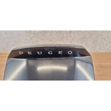 Porte de coffre Peugeot Satelis