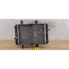 Radiateur Sym GTS 125