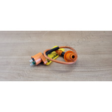 Bobine Lazio Reno 50 4T...