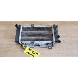 Radiateur Sym Joyride 125...