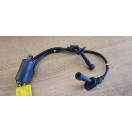 Bobine allumage Suzuki Bandit 1200