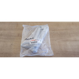 Platine arrière droit Yamaha TDR 125
