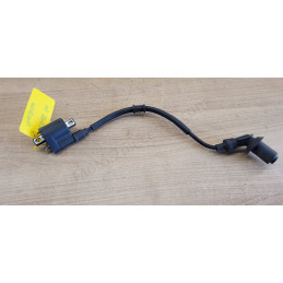 Bobine d'allumage JM Motors...