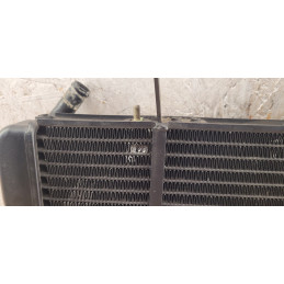 Radiateur Triumph Sprint RS