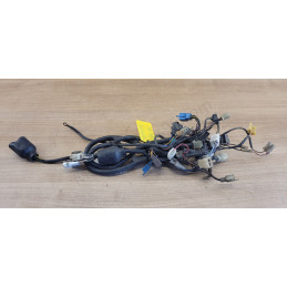 Faisceau électrique Yamaha TDR 125