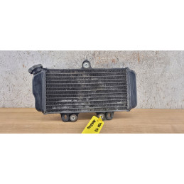 Radiateur Yamaha TDR 125