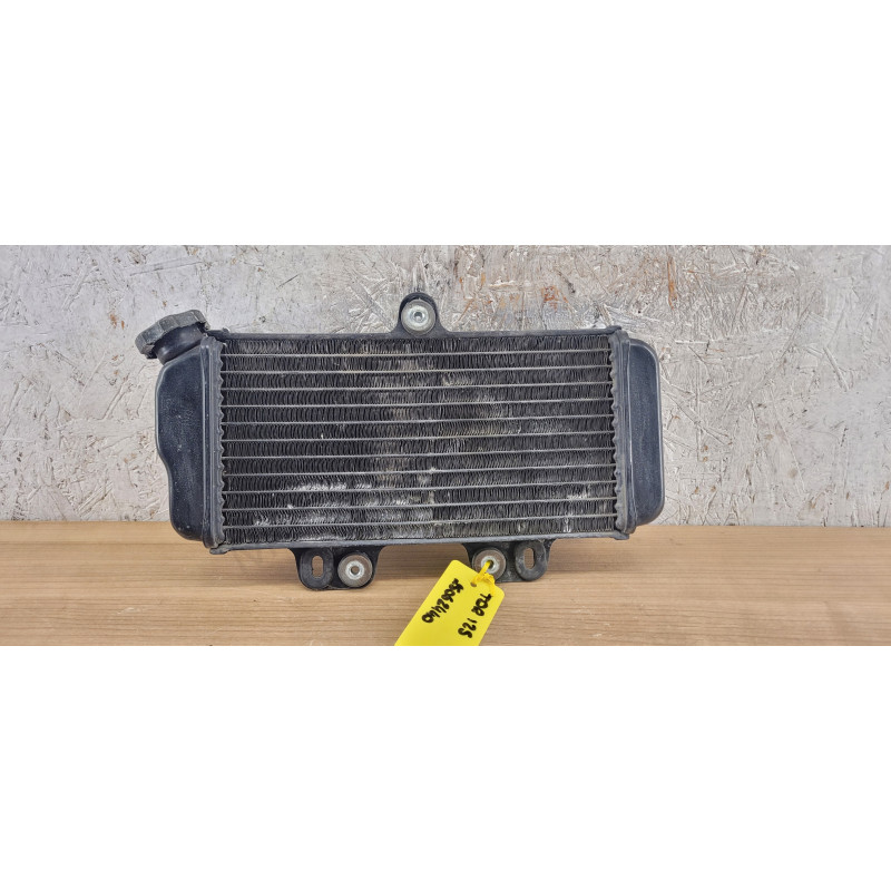 Radiateur Yamaha TDR 125