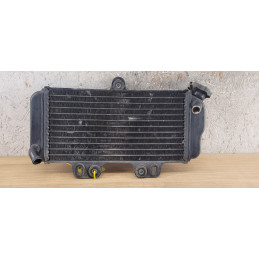 Radiateur Yamaha TDR 125