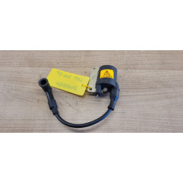 Bobine Piaggio Hexagon 180 200 LXT 2T De 1994 à 2000