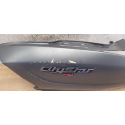 Aile arrière gauche Peugeot Citystar