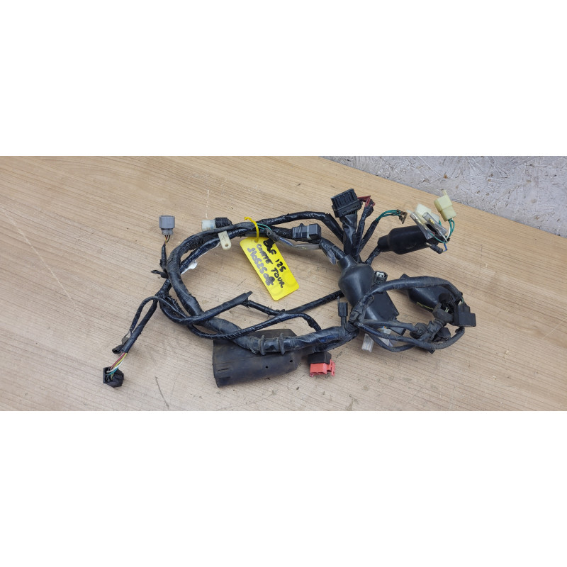 Faisceau électrique Honda CBF 125