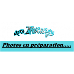 Bulle piaggio mp3  Support...