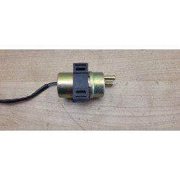 Pompe essence Yamaha BT1100 Bulldog
