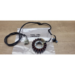Stator allumage Yamaha Tmax...