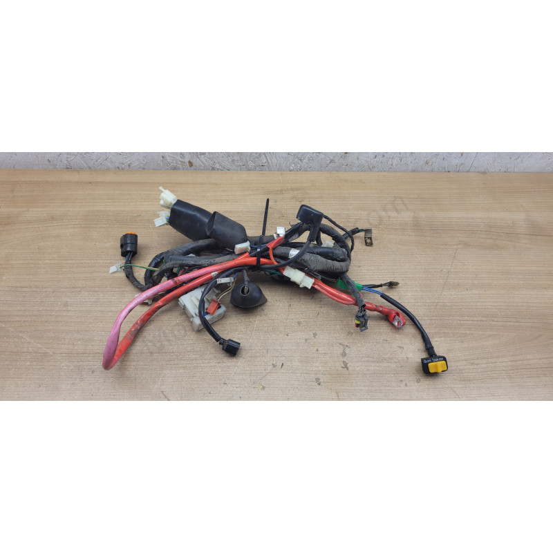 Faisceau électrique Sym Jet 14 50 carbu
