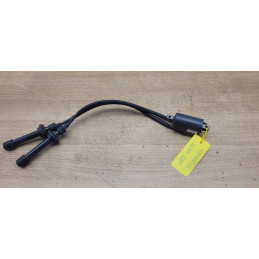 Bobine d'allumage Yamaha 530 Tmax
