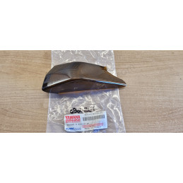 Cabochon clignotant arrière...