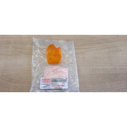 Cabochon clignotant arrière...