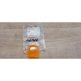 Cabochon Kawasaki GPZ KLE ZXR