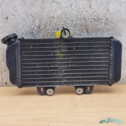 Radiateur Yamaha TDR 125