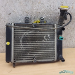Radiateur Daelim 125 Roadsport