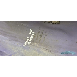 Garde boue Honda Hornet 600  De 2005 à 2006