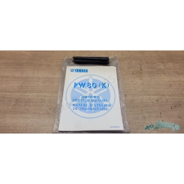 Manuel d'atelier du propriétaire + trousse à outil Yamaha PW 80 (K)