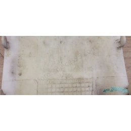 Carénage Znen Neco Technologie 50 4T