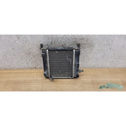 Radiateur Kymco Dink Street 125