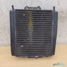 Radiateur Piaggio MP3